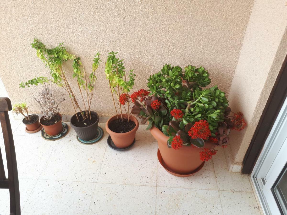 The Marilouize Apartment Peyia Luaran gambar